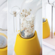 Illustration for article titled Skip the Microwave, the Popcorn Monsoon Makes Snacking a Spectacle
